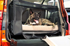 Honda Element Dog 2009