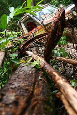 Rainforest Challenge 2010