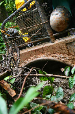 Rainforest Challenge 2010