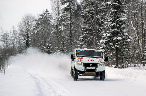 Russia - Northern Forest 2017