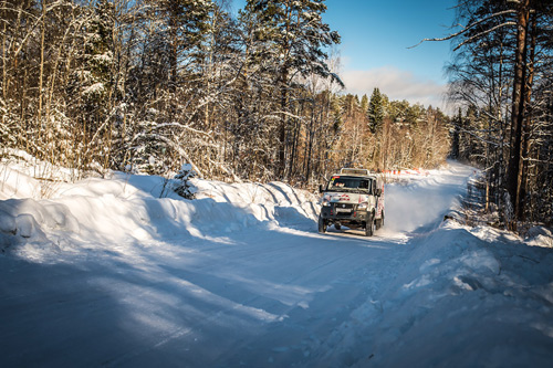 Russia - Northern Forest 2017